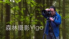 逃离仿真森林